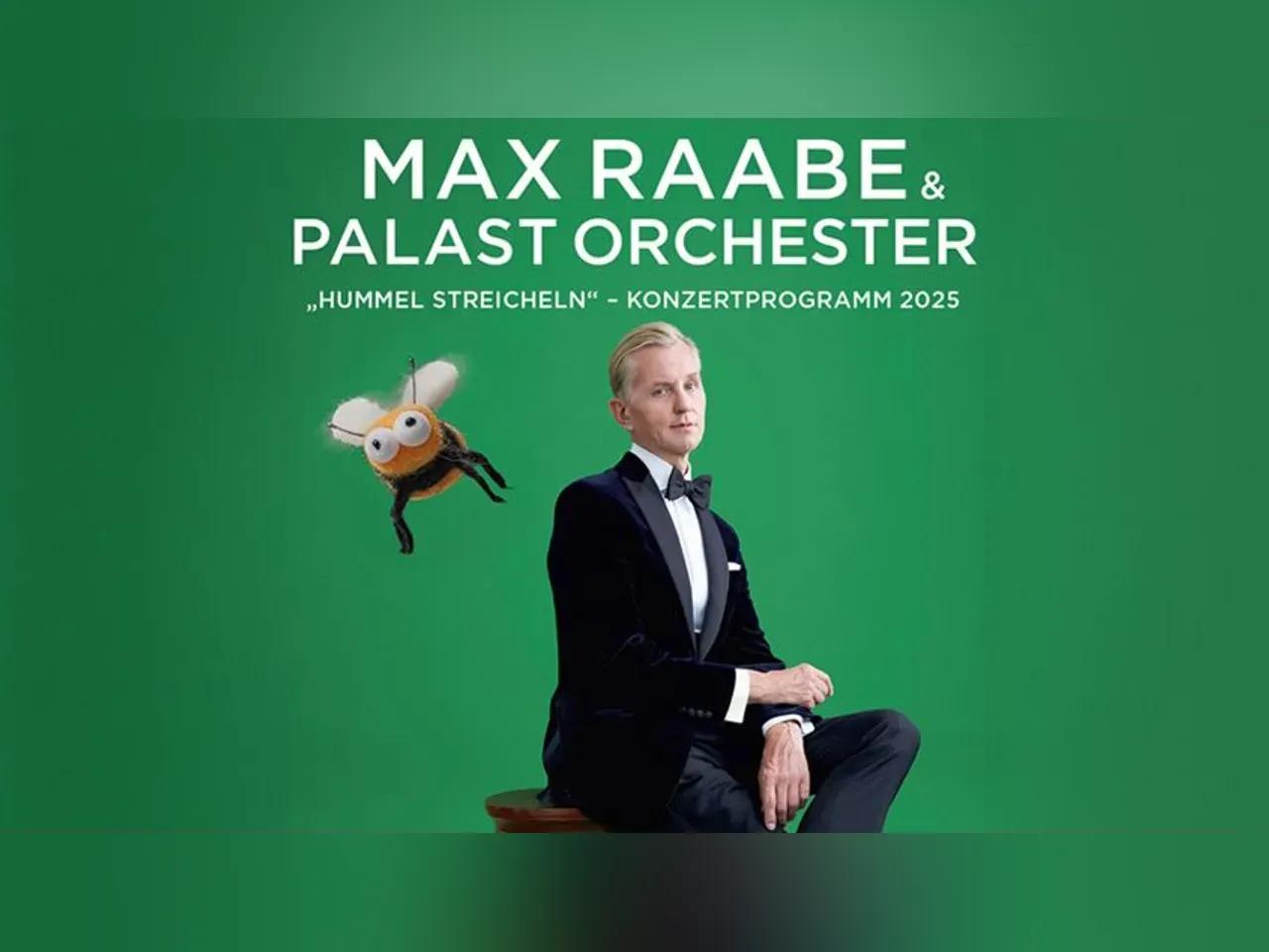 Pressefoto_MAX_RAABE___PALAST_ORCHESTER_5__c__Gregor_Hohenberg.jpg