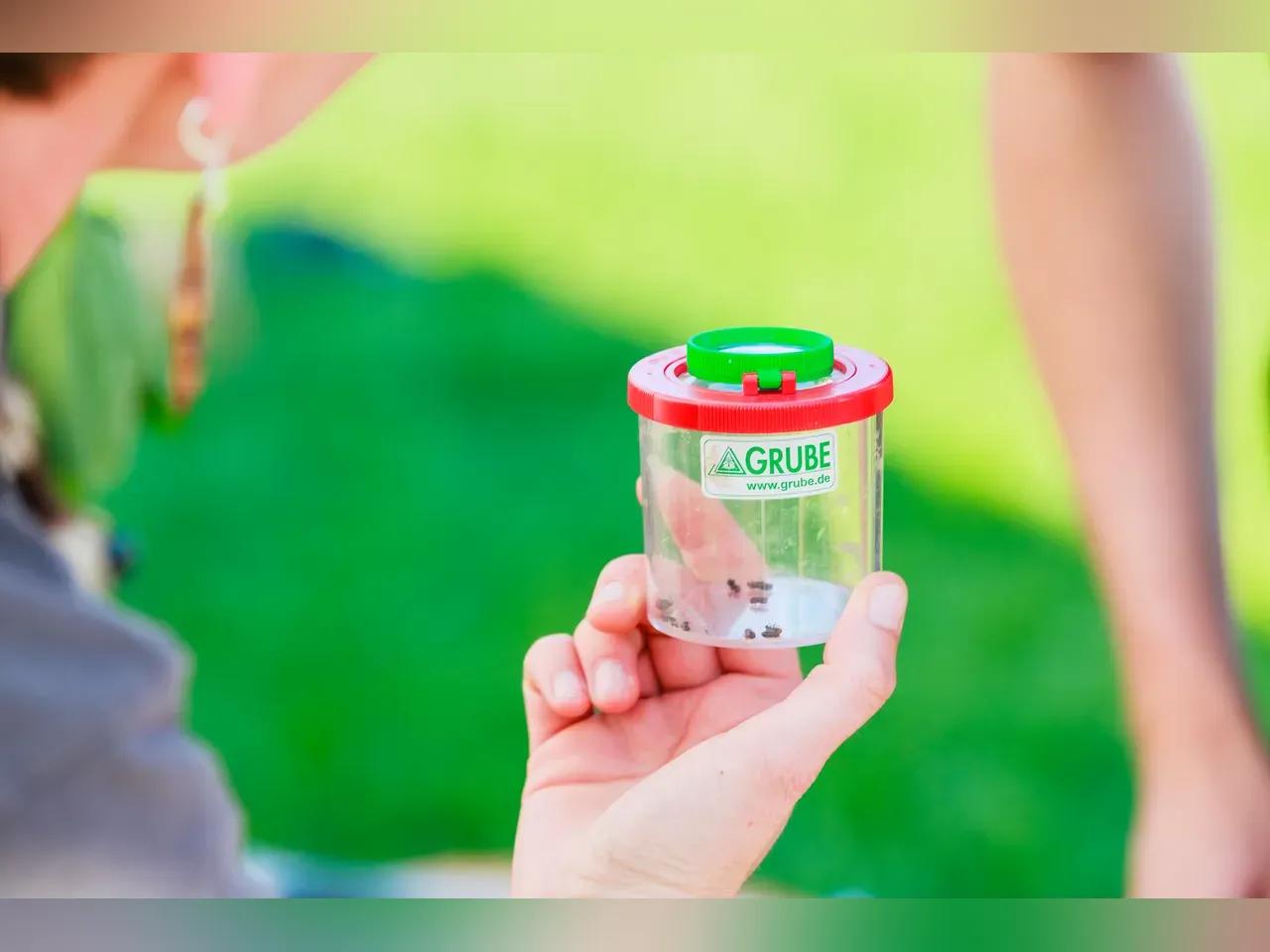 Die Umwelt entdecken bei Dein Tag im Paradies