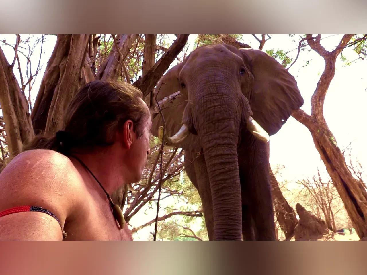 Dokumentarfilmer Richard Gress steht vor einem Elefanten