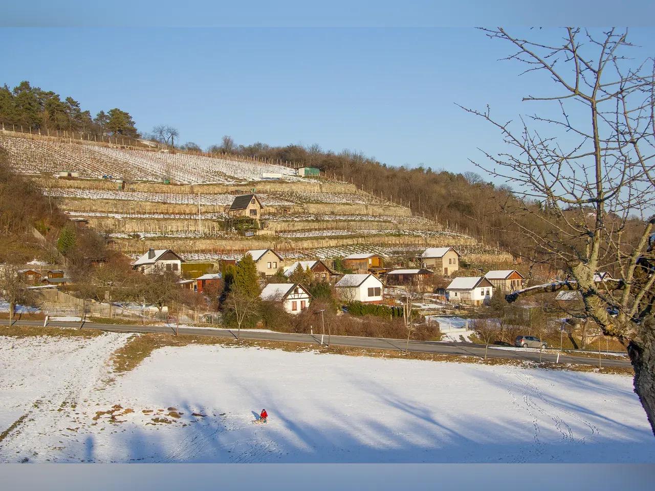 Blick auf einen Weinberg mit Schnee im Vordergrund