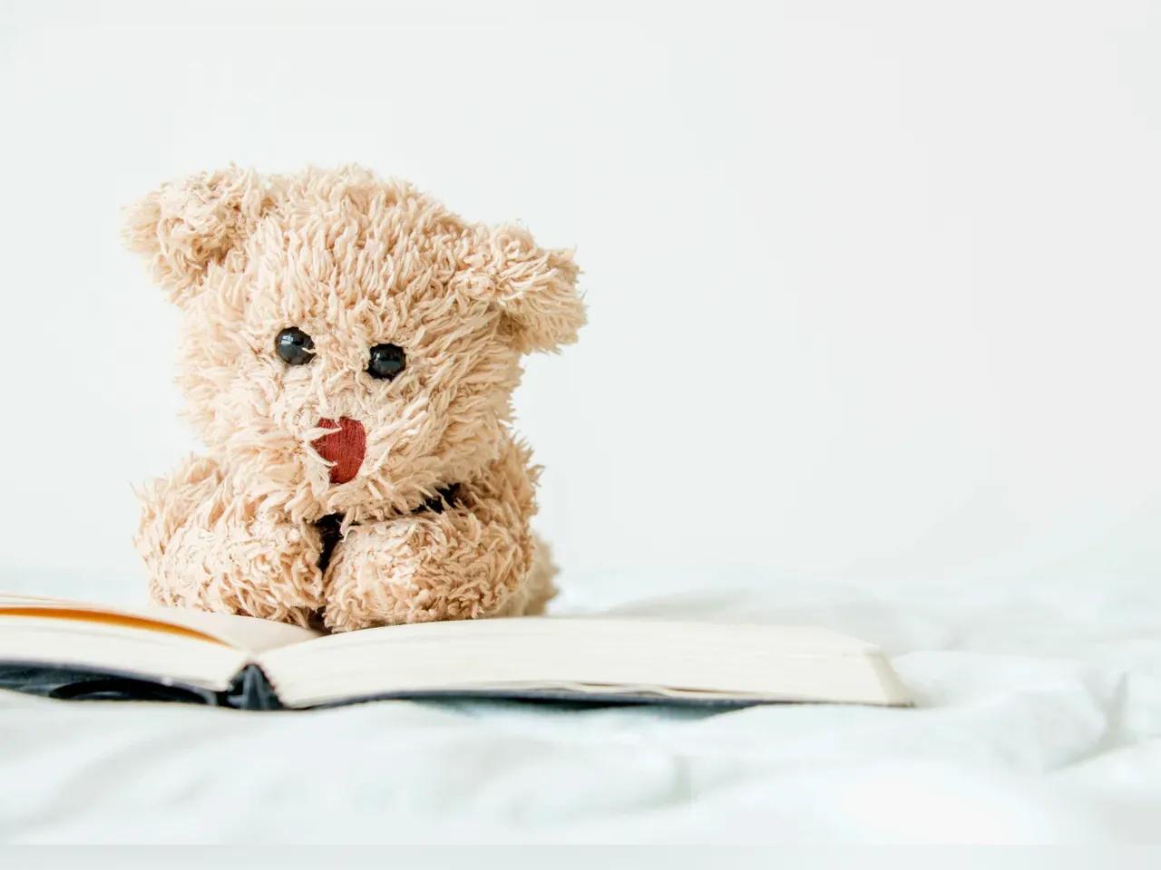 Teddy liest in einem Buch