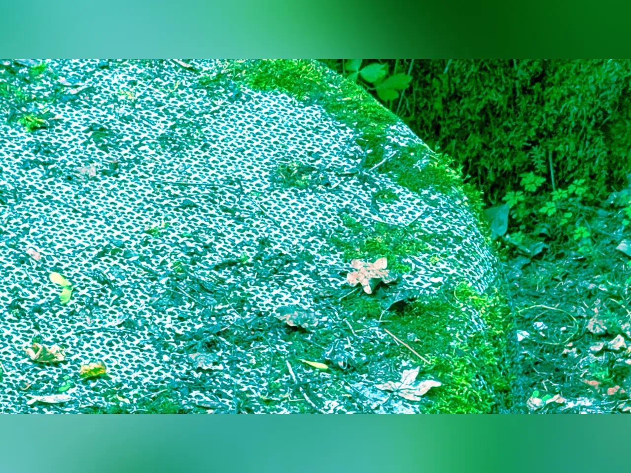 kunstvolles Bild eines Waldbodens