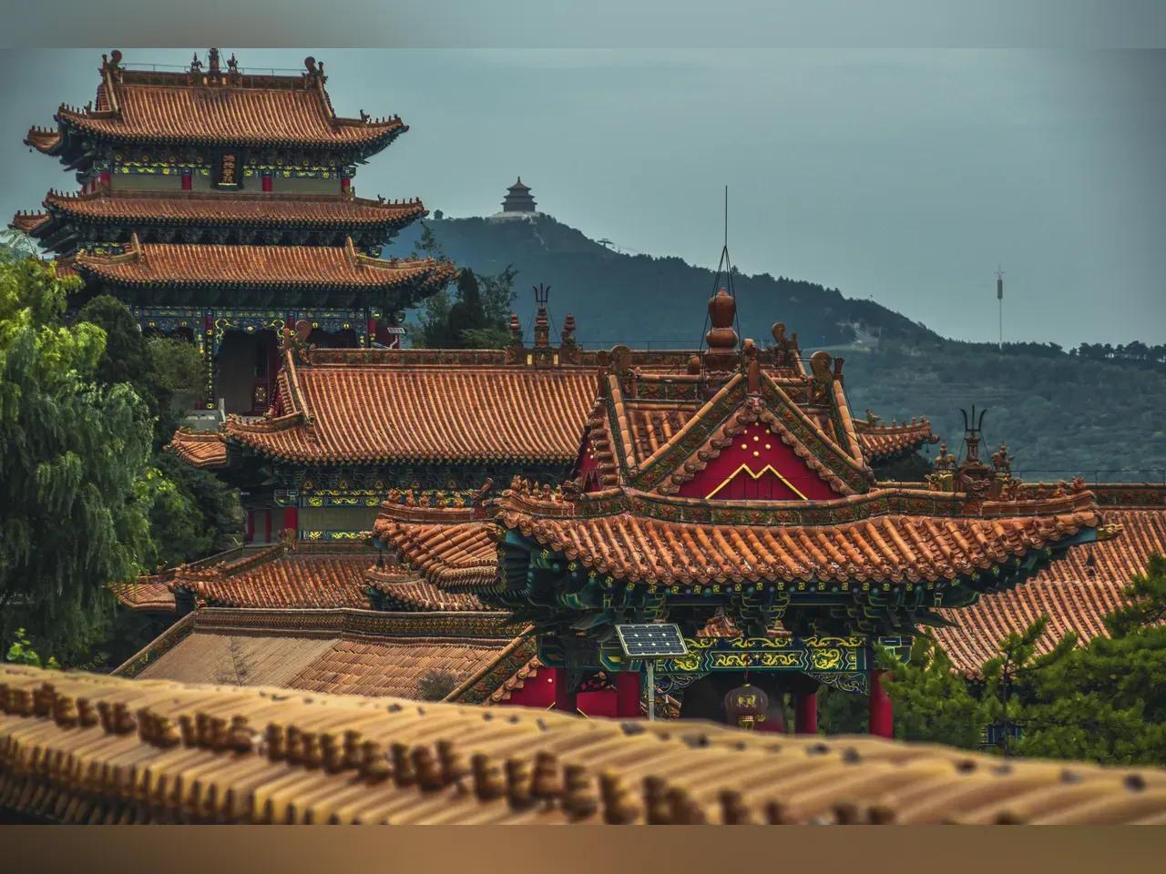 pexels-fotoslian-2915957-jpg