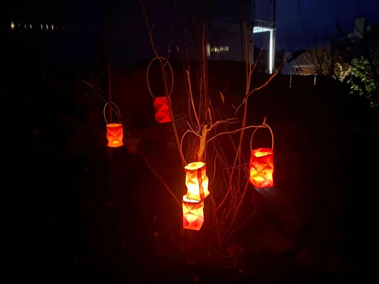 Strauch mit leuchtenden Laternen in den Ästen